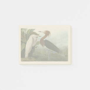 Post-it® Audubon Héron Pourpré Aigrette Rousse Impression :