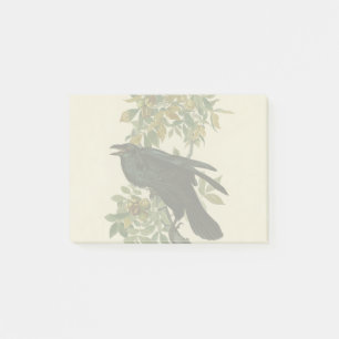 Post-it® Audubon Raven Oiseau classique