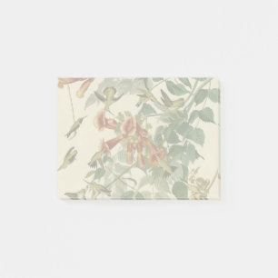 Post-it® Audubon Throsé de colibri