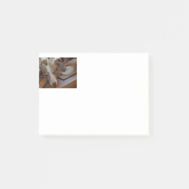 Post-it® australian shepherd red merle sleeping (Devant)