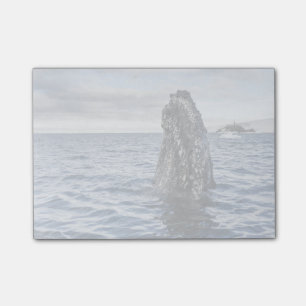 Post-it® Baie d'espoir de Spyhops   de baleine de bosse,