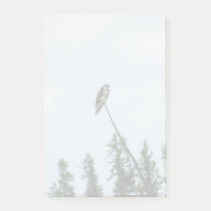 Post-it® Balbuzard pêcheur 9028