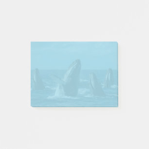 Post-it® Baleines à bosse