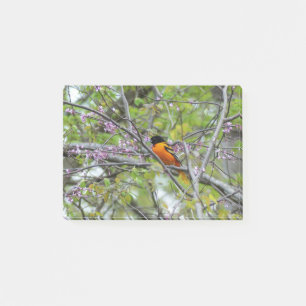 Post-it® Baltimore Oriole