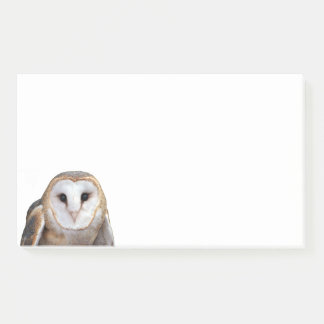 Post-it® Barn Owl Photo 10x6 Notes Papeterie