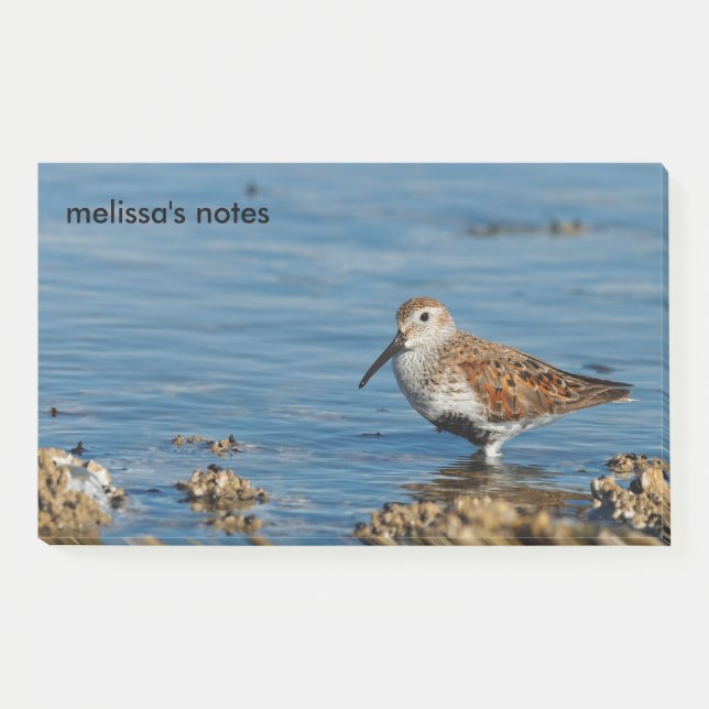 Post-it® Beau Bécasseau Dunlin Sandpiper Goes Solo (Devant)
