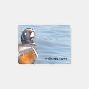 Post-it® Beau canard arlequin sur le rocher