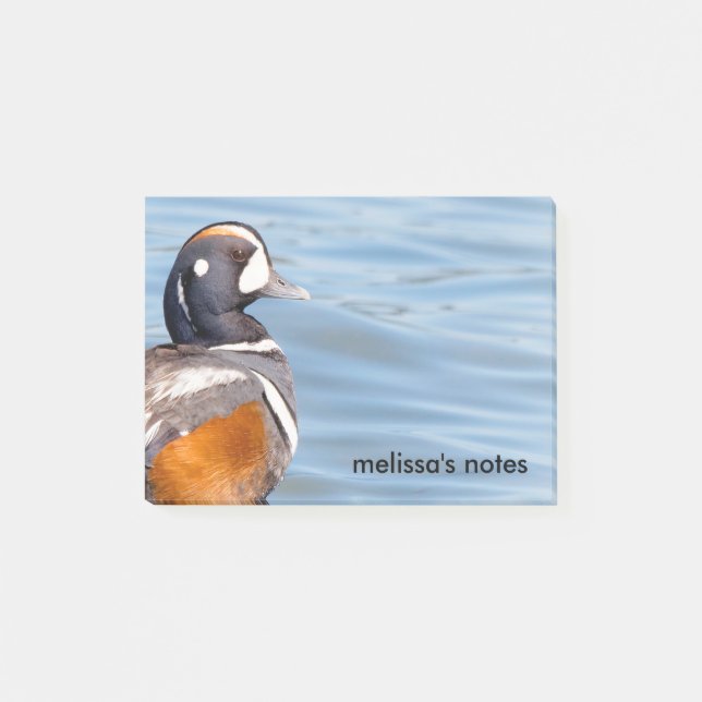 Post-it® Beau canard arlequin sur le rocher (Devant)