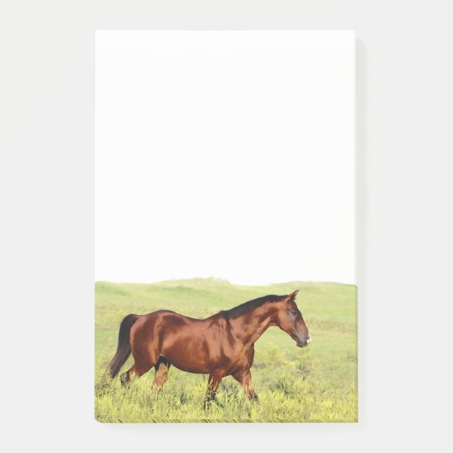 Post-it® Beau cheval de Bay (Devant)