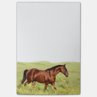 Post-it® Beau cheval de Bay