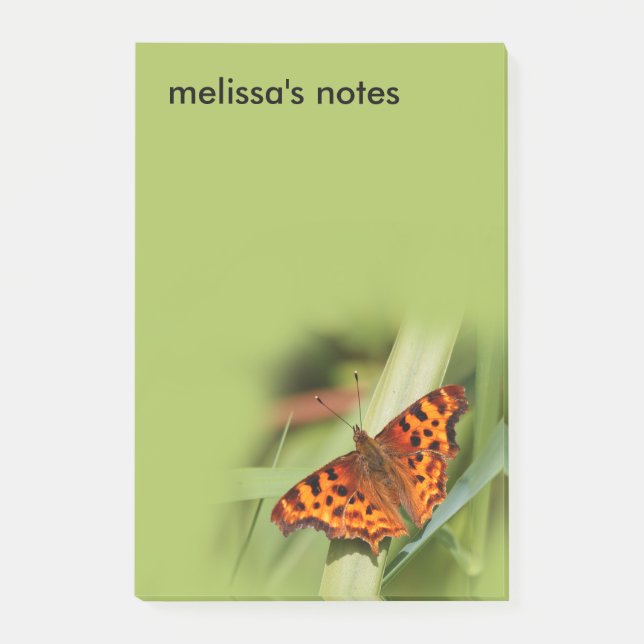 Post-it® Beautiful Orange Satyr Comma Butterfly (Devant)