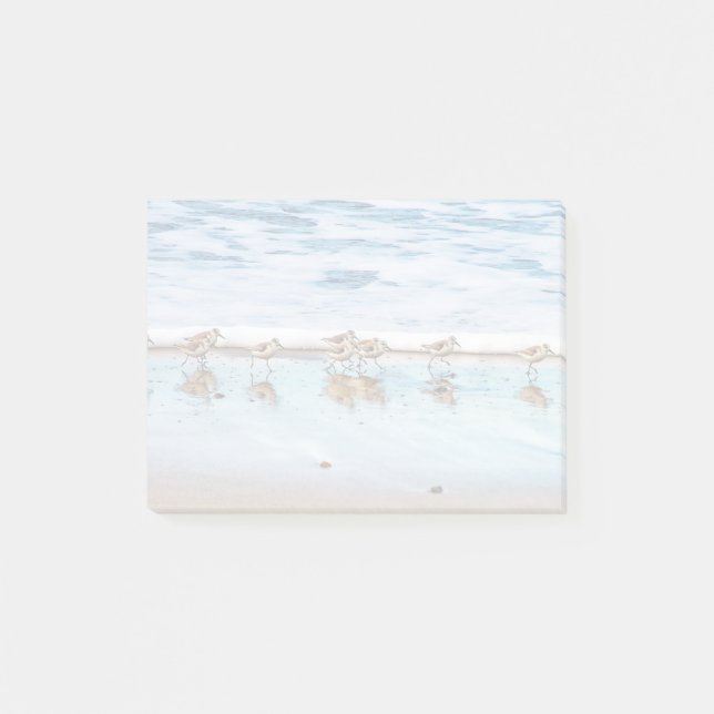 Post-it® Bécasseaux fonctionnant le long de la plage (Devant)