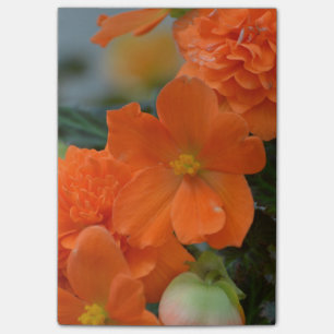 Post-it® Bégonias oranges