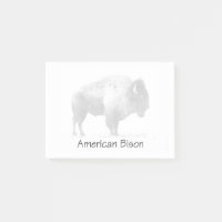 Bison américain