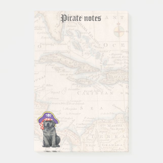 Post-it® Black Lab Pirate (Devant)