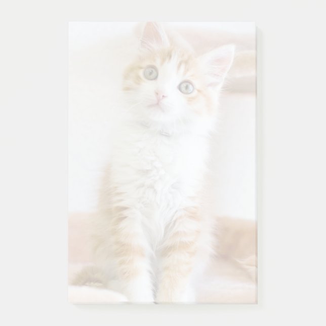 Post-it® Bleu doux Kitty (Devant)