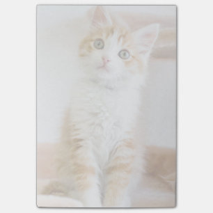 Post-it® Bleu doux Kitty