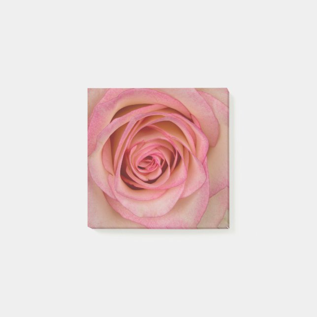 Post-it® Blume rose rose (Devant)