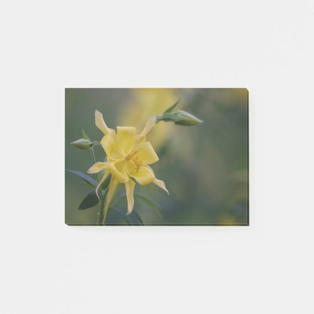Post-it® Bonjour jaune (Devant)
