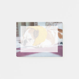 Post-it® Bouledogue anglais des images de Getty