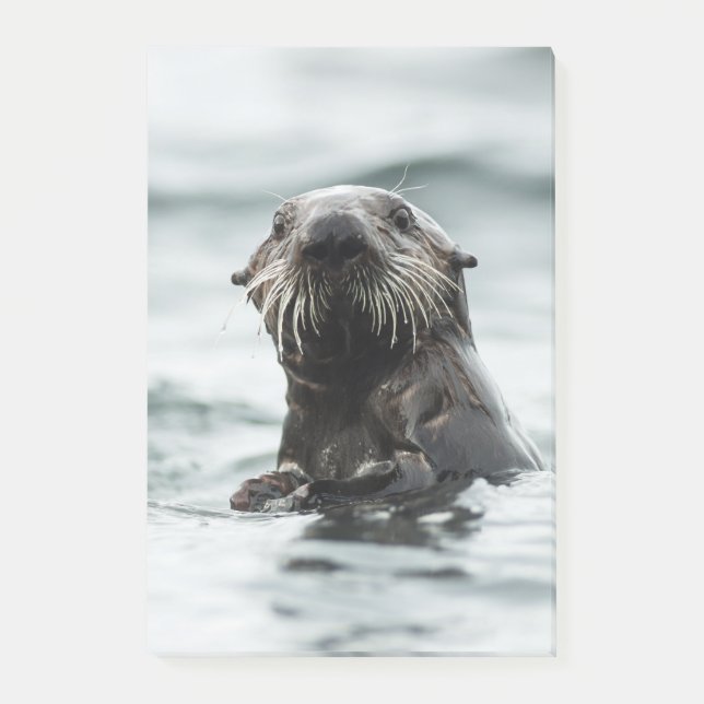 Post-it® Bouton (Devant)