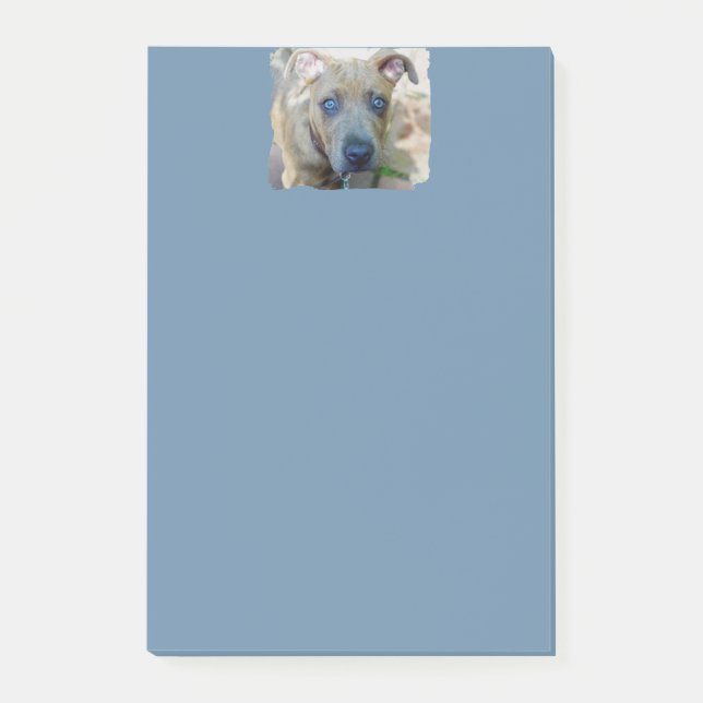 Post-it® Brindle Pit Bull Puppy par Shirley Taylor (Devant)