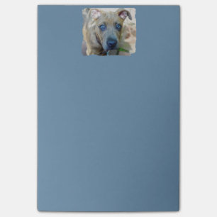 Post-it® Brindle Pit Bull Puppy par Shirley Taylor