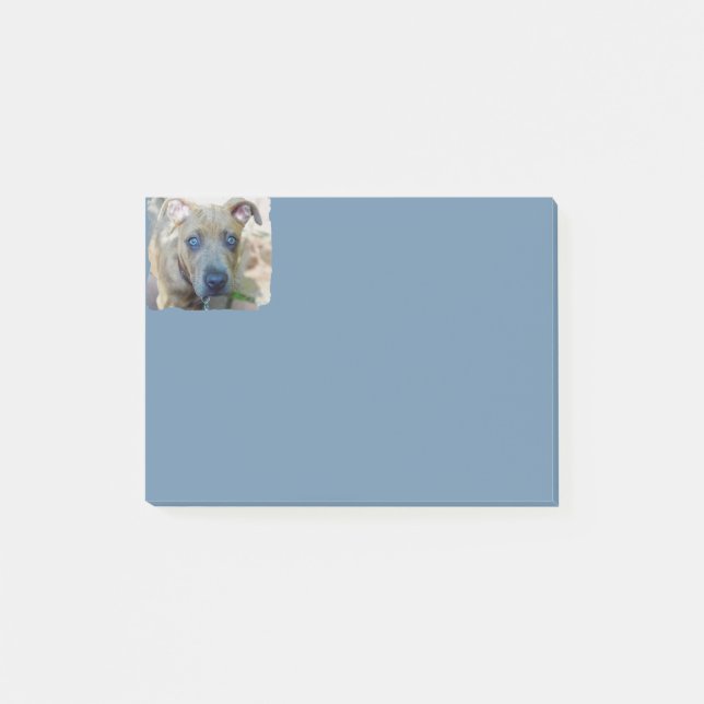 Post-it® Brindle Pit Bull Puppy par Shirley Taylor (Devant)