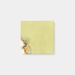 Post-it® Brochures de Kitty Whiskers et de Heart Nose