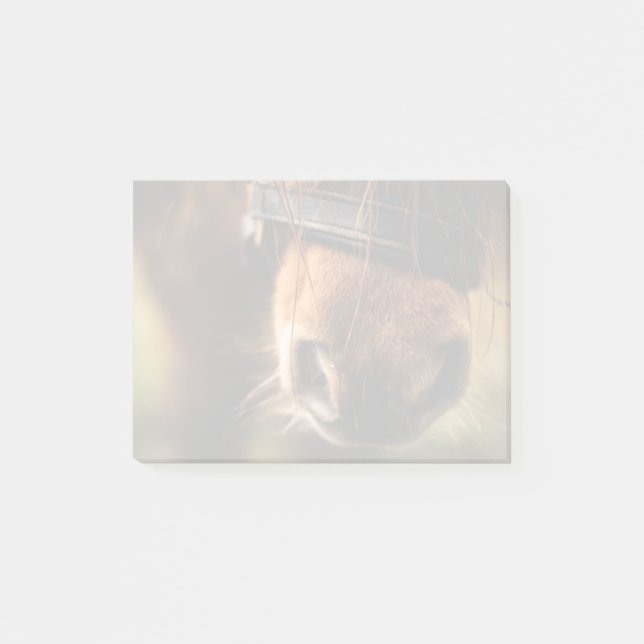 Post-it® Brown Horse Nez Photo mignonne et rustique (Devant)
