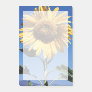 Post-it® Californie, Un Tournesol Mammouth (Helianthus) 3