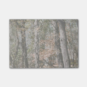Post-it® Camouflage Camouflage de l'arbre forestier Chasse