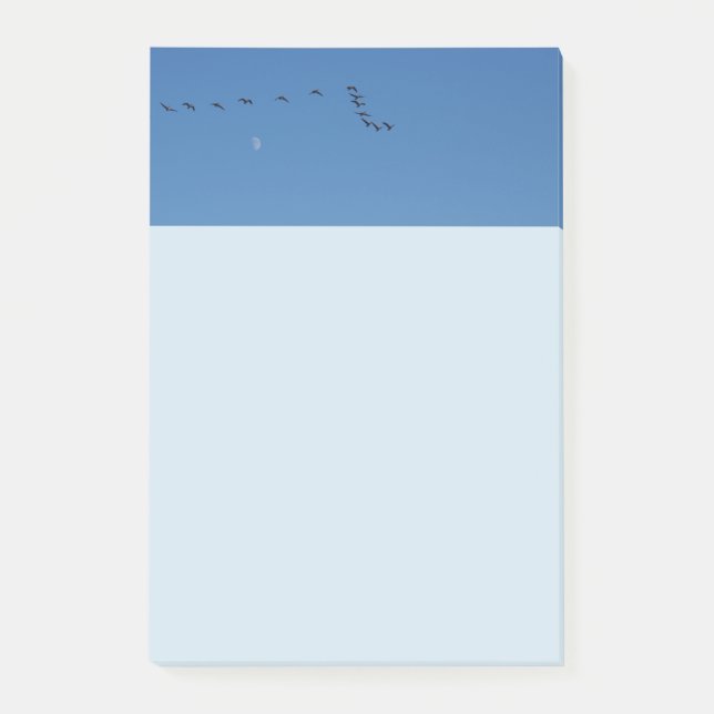 Post-it® Canadian geese (Devant)