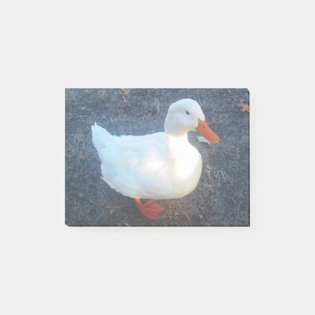Post-it® Canard (Devant)