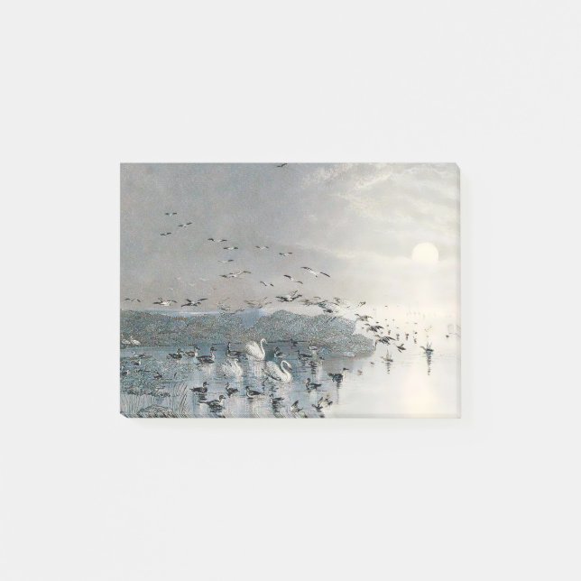 Post-it® Canards, colverts et cygnes sur le lac au coucher  (Devant)