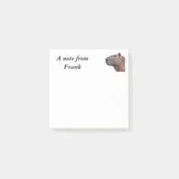 Post-it® Capybara