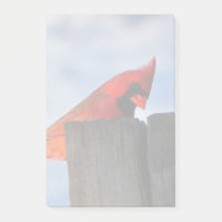 Cardinal rouge sur la souche en bois