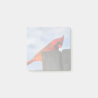 Cardinal rouge sur la souche en bois