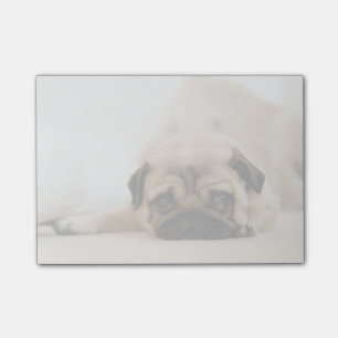 Post-it® Carlin féminin de Tan