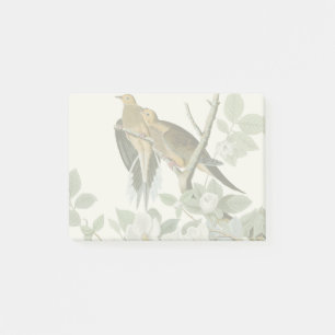 Post-it® Carolina Pigeon Audubon Morning Dove