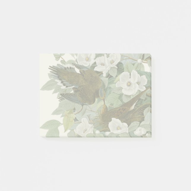 Post-it® Carolina Pigeon Audubon Morning Dove (Devant)