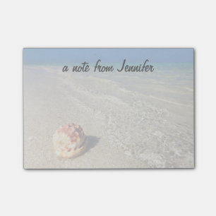 Post-it® Casque Shell dans Lagoon  tropical Cassis Rufa