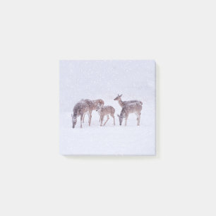 Post-it® Cerf dans la neige Post It Nature Note Pad