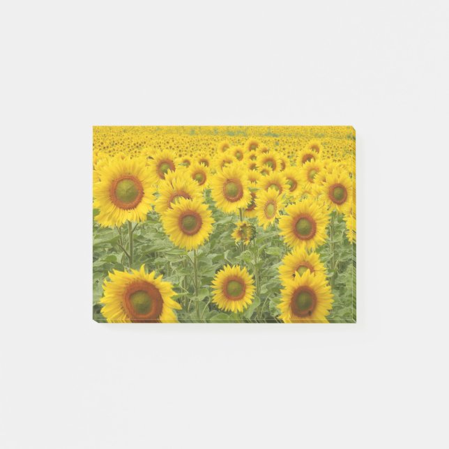 Post-it® Champ de soleil (Devant)