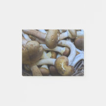 Champignons de miel, Apiata, Armillaria, opyenok