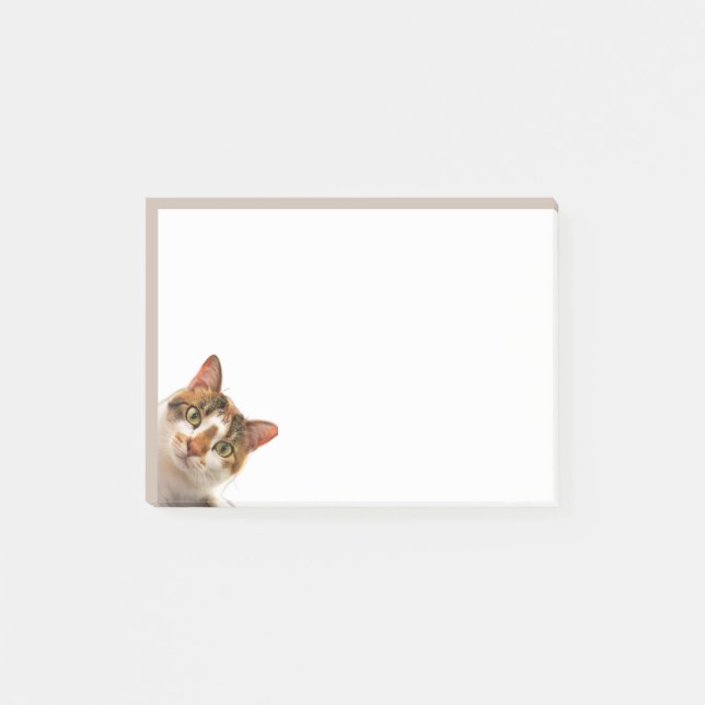 Post-it® Chat Amusant Chaton Qui Vous Regarde Animal Mignon (Devant)