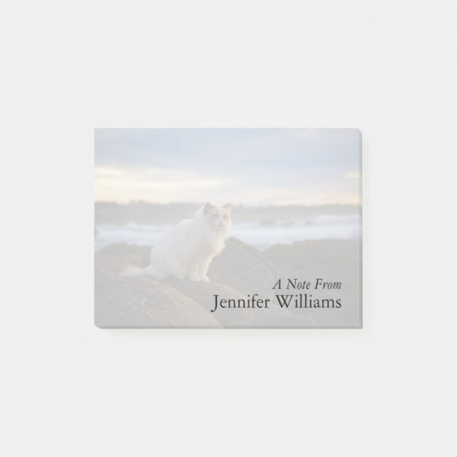 Post-it® Chat de Ragdoll à la plage (Devant)