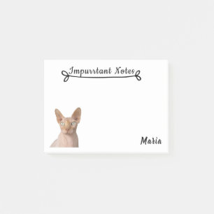 Post-it® Chat de Sphynx