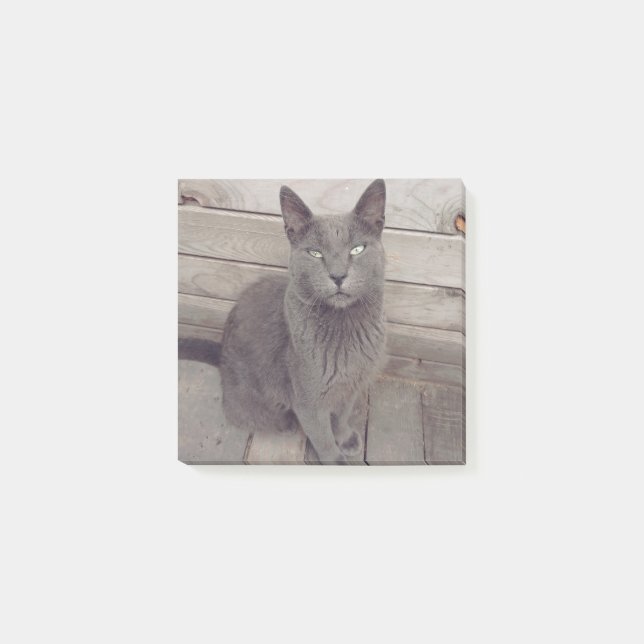 Post-it® Chat gris (Devant)