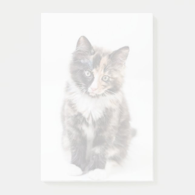 Post-it® Chaton adorable de calicot (Devant)